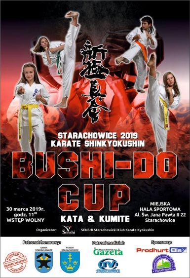 plakat karate